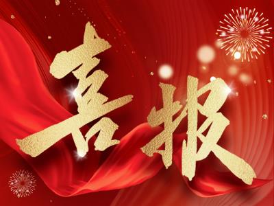 喜訊！湘聯電纜榮獲國家級專精特新“小巨人”企業(yè)稱號！