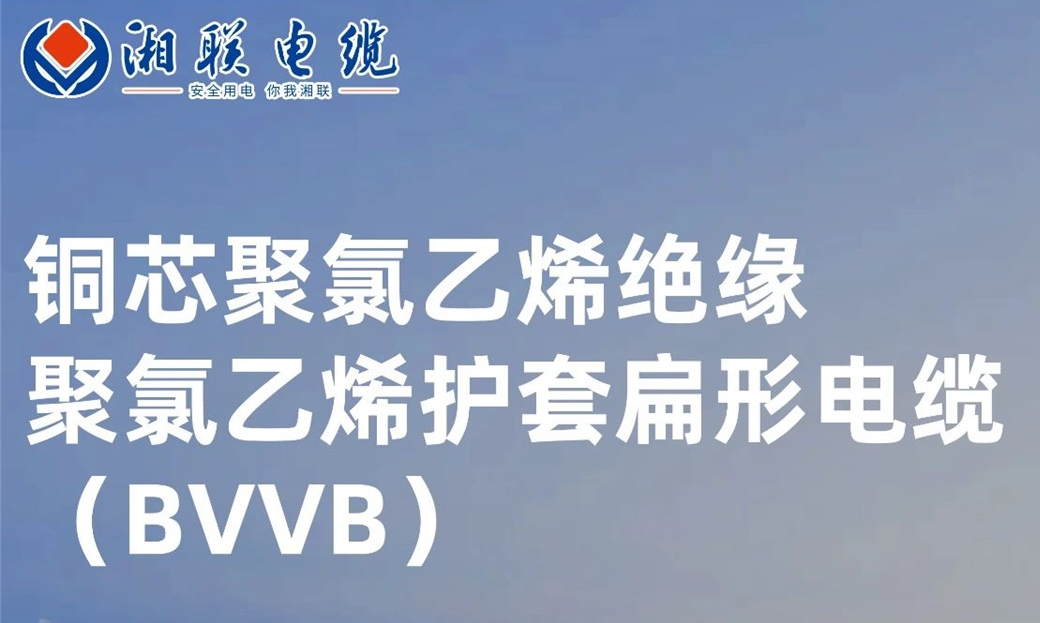 國標認證，品質保障 | 一文解析BVVB（銅芯聚氯乙烯絕緣聚氯乙烯護套扁形電纜）